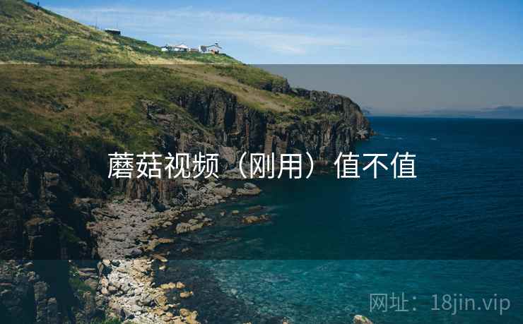 蘑菇视频（刚用）值不值